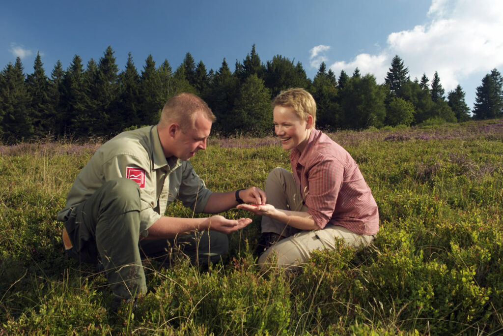 Wandern Hochheide neuer Hagen