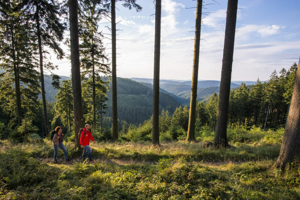 Wandern Uplandsteig