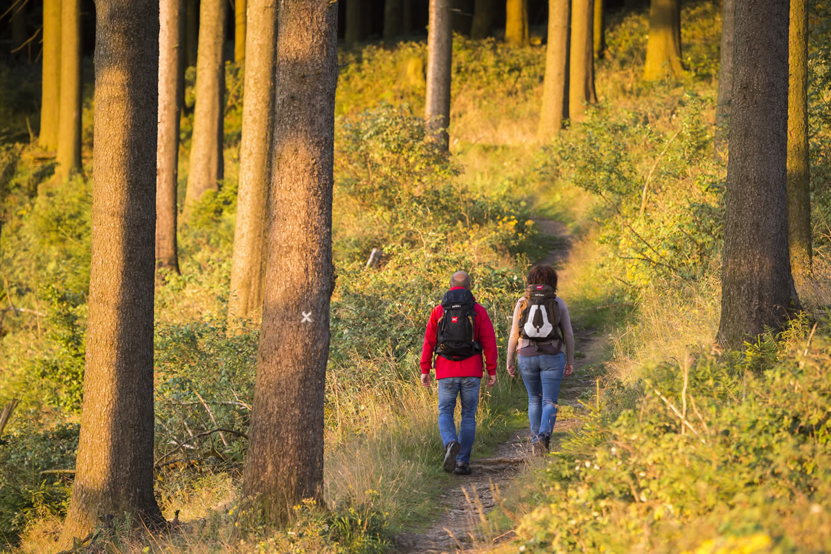 Wandern in Uplaender Waeldern